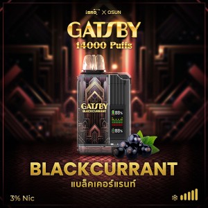 [iBro X Qsun] Gatsby (แบล็คเคอร์แรนท์)